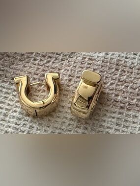 ✨New✨ House of Harlow: Earrings